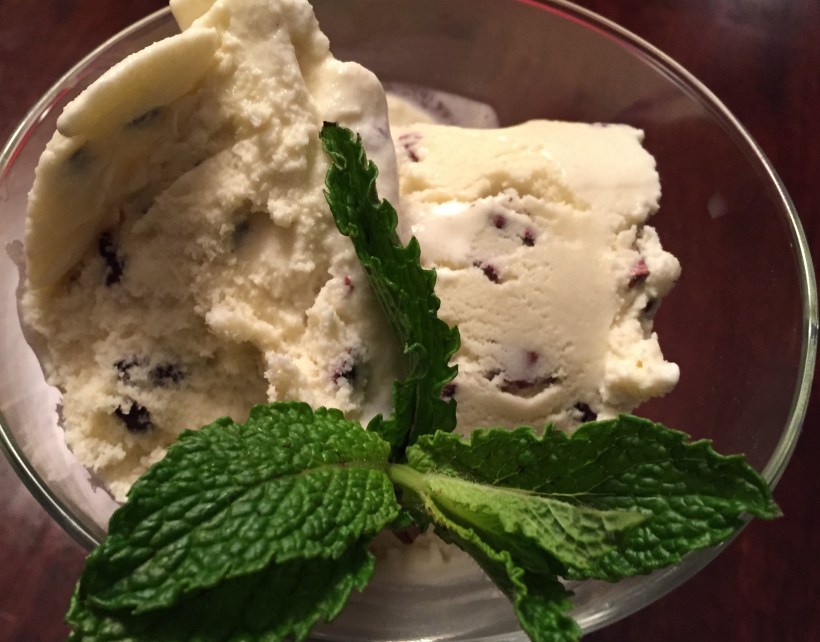 Mint Ice Cream with Cacao Nibs provides a nice substitution for a traditional mint chocolate chip ice cream.